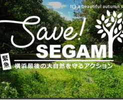 SAVE! SEGAMI | 横浜最後の大自然を守るアクション